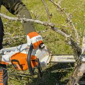 Tronçonneuse à batterie MSA 220 C-BQ Stihl 